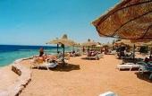 Туры в отель Poinciana Sharm Resort