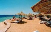 Туры в отель Poinciana Sharm Resort
