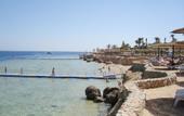 Туры в отель Poinciana Sharm Resort