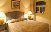 Туры в отель Poinciana Sharm Resort