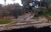 Туры в отель Nubian Farm