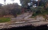 Туры в отель Nubian Farm