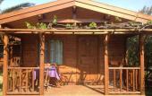 Туры в отель Ataol Beach & Bungalows