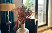 Туры в отель Grand Durmaz Hotel