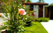 Туры в отель Kerem Apart Hotel Gocek