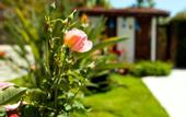 Туры в отель Kerem Apart Hotel Gocek