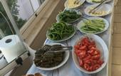 Туры в отель Adali Pansiyon