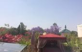 Туры в отель Riad Reves D'orient