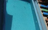 Туры в отель Grand Didyma Hotel
