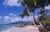 Туры в отель Lamai Bayview Boutique Resort