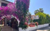 Туры в отель Palma Rosa Hotel