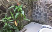 Туры в отель Mumbul Guesthouse