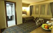 Туры в отель Sarr Tac Mahal Hotel