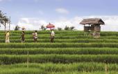 Туры в отель ibis Styles Bali Denpasar