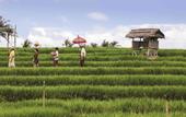 Туры в отель ibis Styles Bali Denpasar