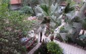 Туры в отель Amon Hotel