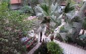 Туры в отель Amon Hotel