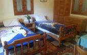 Туры в отель Amon Hotel