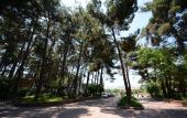 Туры в отель Arsan Hotel