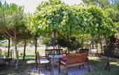 Туры в отель Aral Tatil Ciftligi