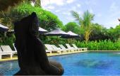 Туры в отель Mans Cottages & Spa