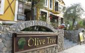 Туры в отель The Olive Tree Studios - Adults Only