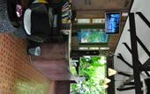 Туры в отель Phangan Beach Resort