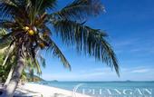 Туры в отель Phangan Beach Resort