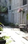 Туры в отель Griffon Boutique Hotel - Boutique Class