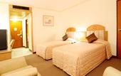 Туры в отель Grand Tower Inn VI