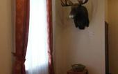 Туры в отель Ganza Hotel