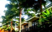 Туры в отель Villa Sonia Bisma