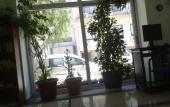 Туры в отель Cesme Sirin Villa Otel