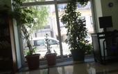 Туры в отель Cesme Sirin Villa Otel