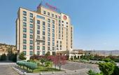 Туры в отель Ramada Plaza от Wyndham Mardin