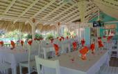 Туры в отель Hotel Residence Playa Colibri