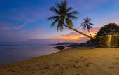 Туры в отель Three Trees Samui Resort - Sarocha Villa