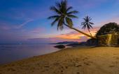 Туры в отель Three Trees Samui Resort - Sarocha Villa