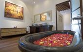 Туры в отель Ellora Villas