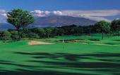 Туры в отель Grand Wailea Resort