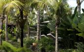 Туры в отель Kalapa Resort and Yoga retreat