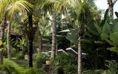 Туры в отель Kalapa Resort and Yoga retreat
