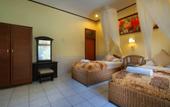 Туры в отель Hotel Jati Sanur
