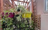 Туры в отель L'Oasis Montparnasse
