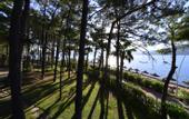 Туры в отель Grand Yazici Club Marmaris Palace