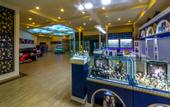 Туры в отель Grand Yazici Club Marmaris Palace