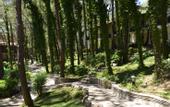 Туры в отель Grand Yazici Club Marmaris Palace