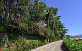 Туры в отель Grand Yazici Club Marmaris Palace