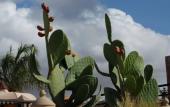 Туры в отель Riad Ralhaya