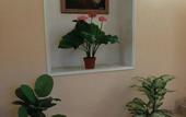 Туры в отель Lyuks Hotel